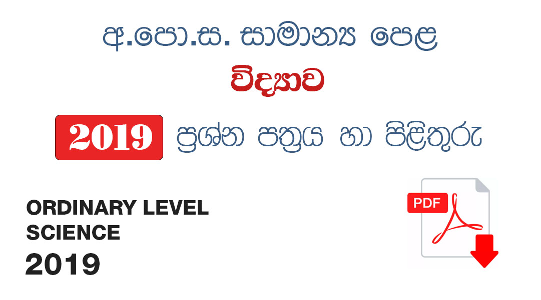 Ordinary Level Science 2019 Past Paper with Answers